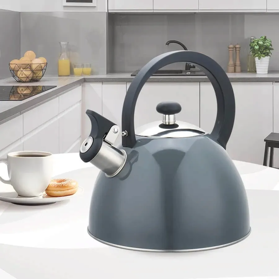 czajnik-25l-mr-1302-grey-maestro