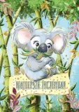 karnet-a5-koala