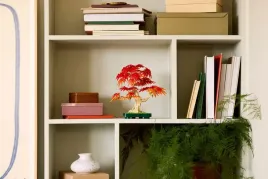 lego-botanical-collection-10348-klon-palmowy-bonsai