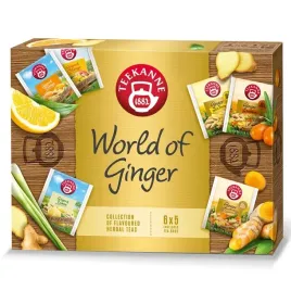 teekanne-world-of-ginger-tea-collection-30-kopert
