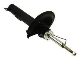 maxgear-amortyzator-rover-przod-75-1-8-2-5-02-99-05-05-lewy