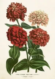 karnet-st458-b6-koperta-cynia