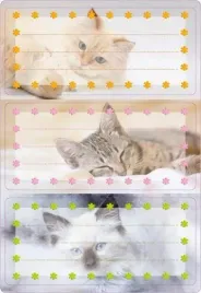 naklejki-szkolne-kotki-6szt