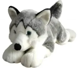 husky-62cm