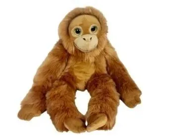 orangutan-big-eyes-50cm