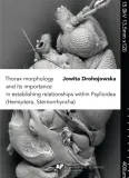 thorax-morphology-and-its-importance