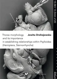 thorax-morphology-and-its-importance