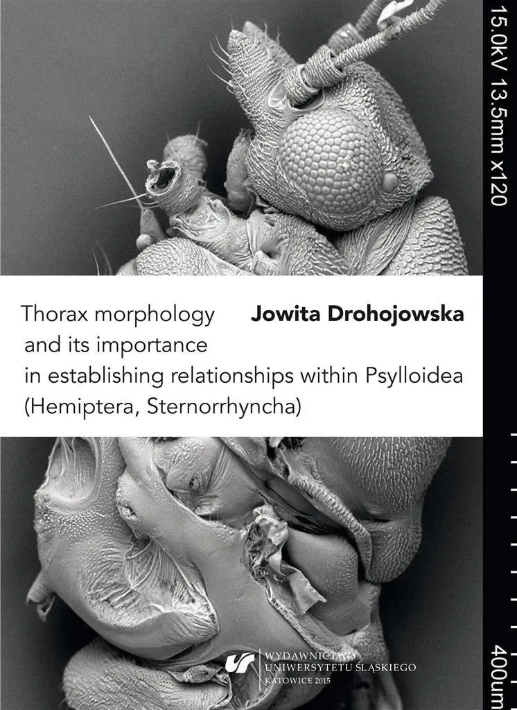 thorax-morphology-and-its-importance