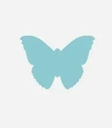 dziurkacz-ozdobny-motyl-5cm-mix