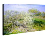 apple-trees-in-bloom-claude-monet-obraz-na-plotnie-100x70-cm