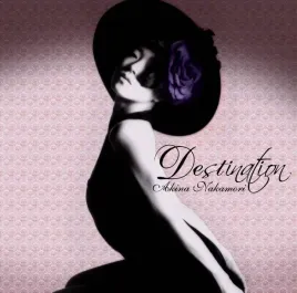 destination-vinyl