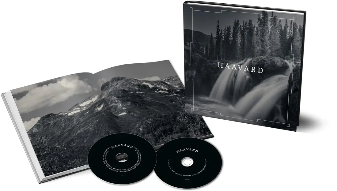 haavard-rozmiar-s