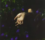 in-velvet