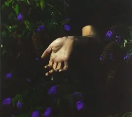 in-velvet