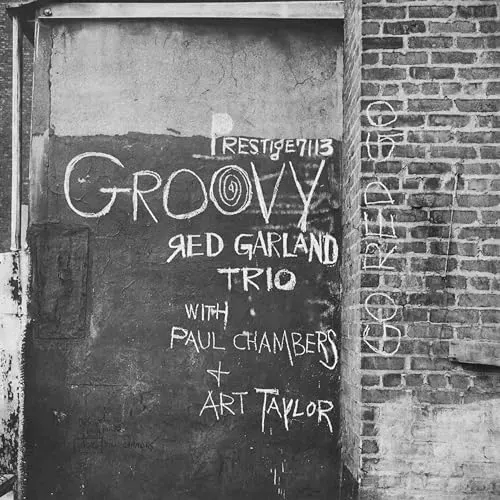 groovy-vinyl-rozmiar-s