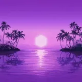 paradise-clear-and-white-vinyl-rozmiar-s
