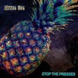 got-it-vinyl