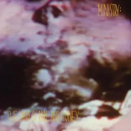 the-land-of-rape-and-honey-limited-black-vinyl-vinyl
