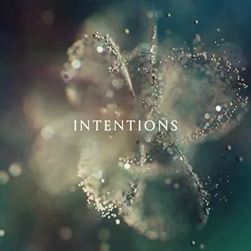 intentions-rozmiar-s