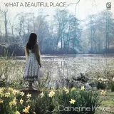 what-a-beautiful-place-vinyl