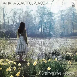 what-a-beautiful-place-vinyl