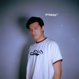 stereo-vinyl