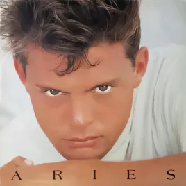 aries-vinyl