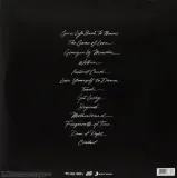 random-access-memories-vinyl-rozmiar-s