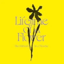 lifetime-of-a-flower-vinyl