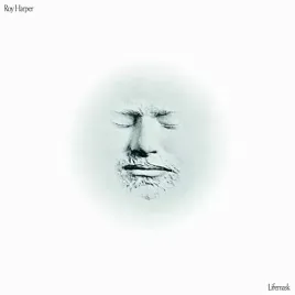 lifemask-vinyl