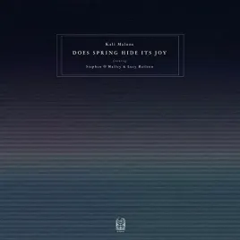 does-spring-hide-its-joy-feat-stephen-o-malley-and-lucy-railton-vinyl
