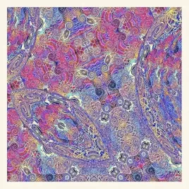 placenta-vinyl