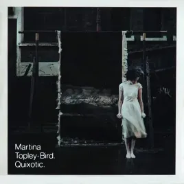 quixotic-vinyl