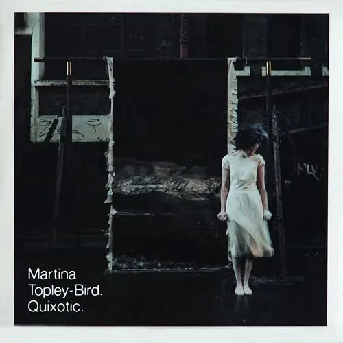 quixotic-vinyl-rozmiar-s