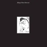 sleep-now-forever-vinyl