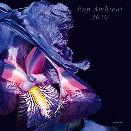 pop-ambient-2020-vinyl-rozmiar-s