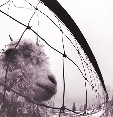 vs-vinyl-edition-remastered-vinyl-rozmiar-s