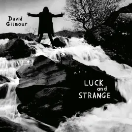 luck-and-strange-black-vinyl-vinyl