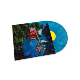 visions-vinyl