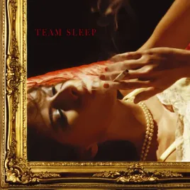 team-sleep-vinyl