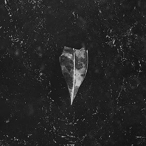 aion-vinyl