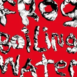 frog-in-boiling-water-vinyl