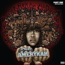 new-amerykah-part-one-purple-vinyl