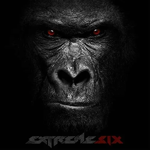 six-vinyl-rozmiar-s