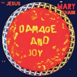 damage-and-joy-black-vinyl-2lp-vinyl