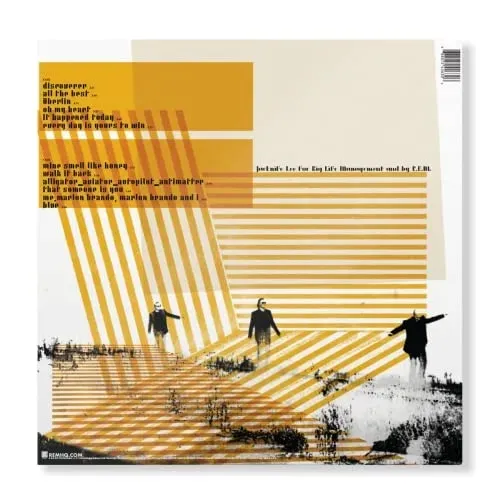 collapse-into-now-vinyl