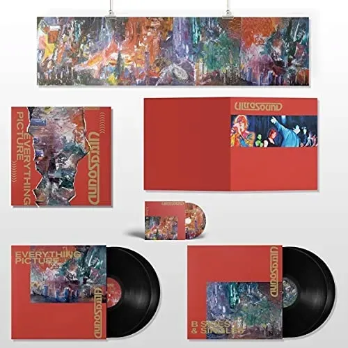 everything-picture-deluxe-edition-vinyl