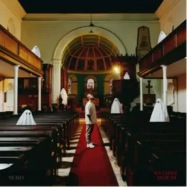 november-medicine-vinyl