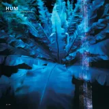 downwards-is-heavenward-reissue-vinyl