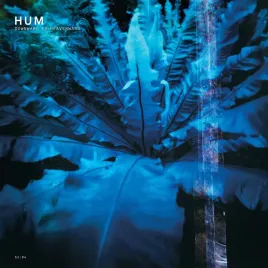 downwards-is-heavenward-reissue-vinyl